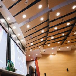 Person giving to a presentation in an auditorium